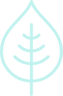 Icon of a leaf