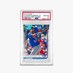 Vladimir Guerrero Jr.