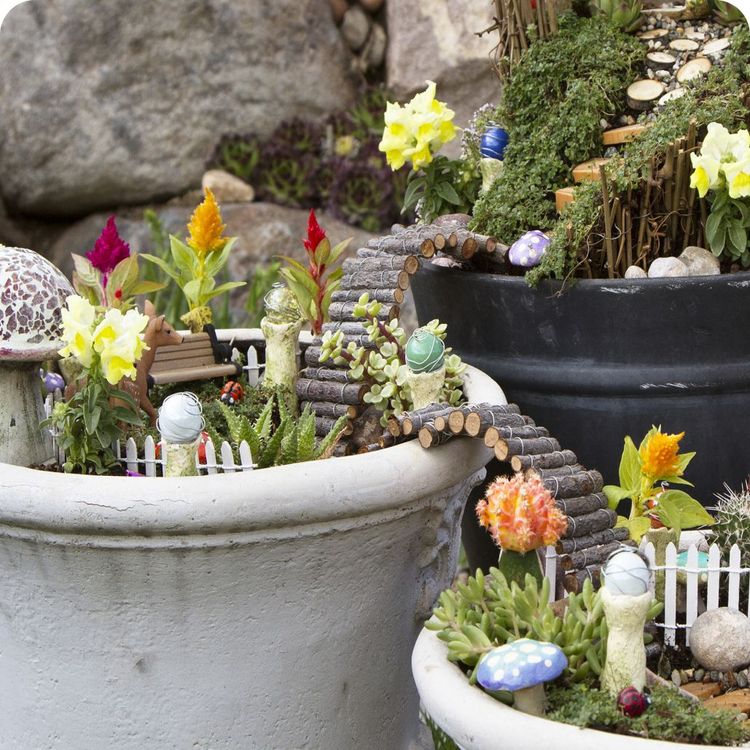 Fun for the whole fam: DIY Fairy Garden image