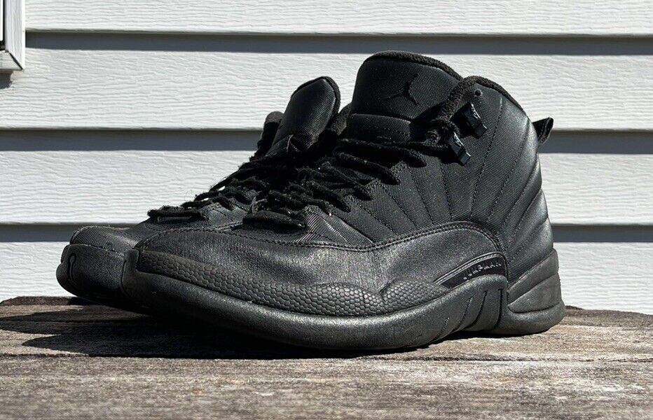 A Look at All Black Jordan 12 Sneakers | eBay