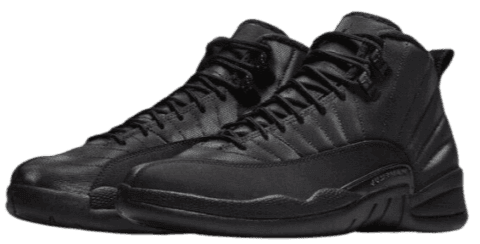 A Look at All Black Jordan 12 Sneakers eBay