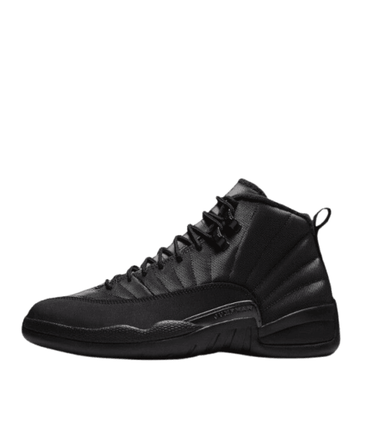 Jordan 12 winter on feet sale