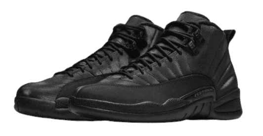 Air Jordan 12 Silhouette in Winter Black eBay